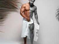 Модель Osher_Cox