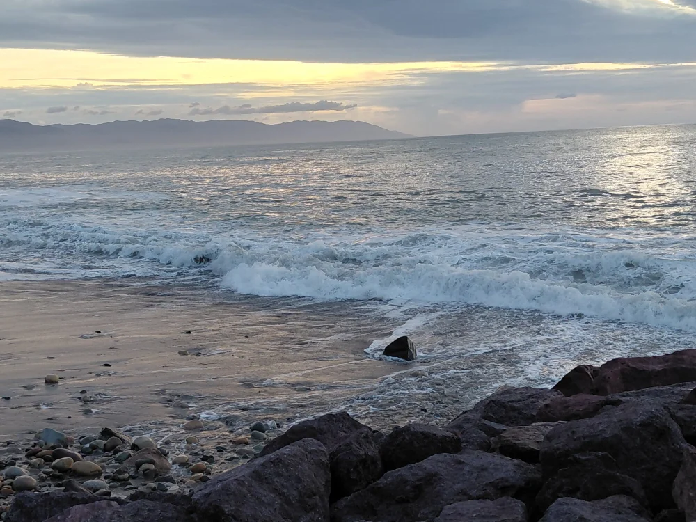 cover photo of yrh7