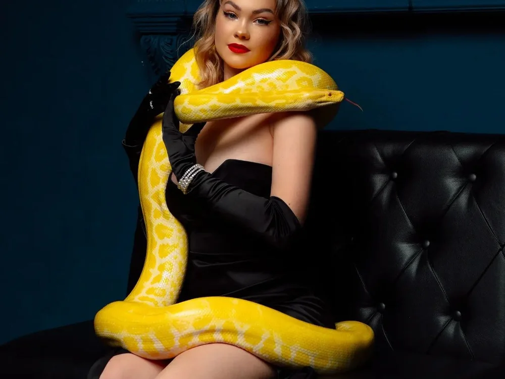 GwenBlock's Offline Chat Room