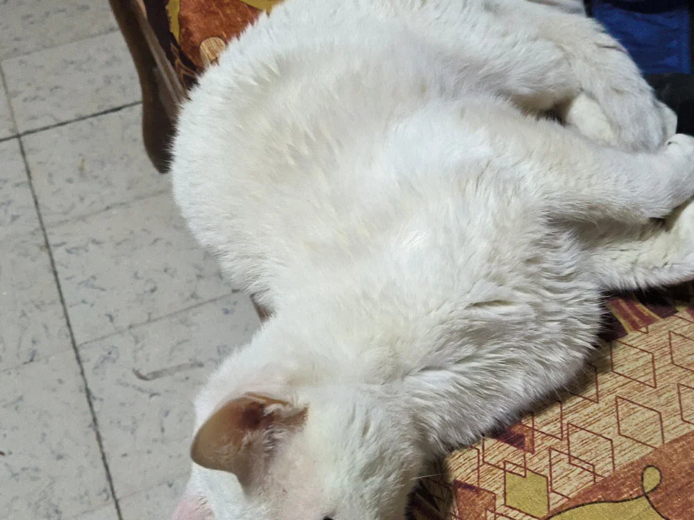 ห้องแชทออฟไลน์ของ dafaq1234