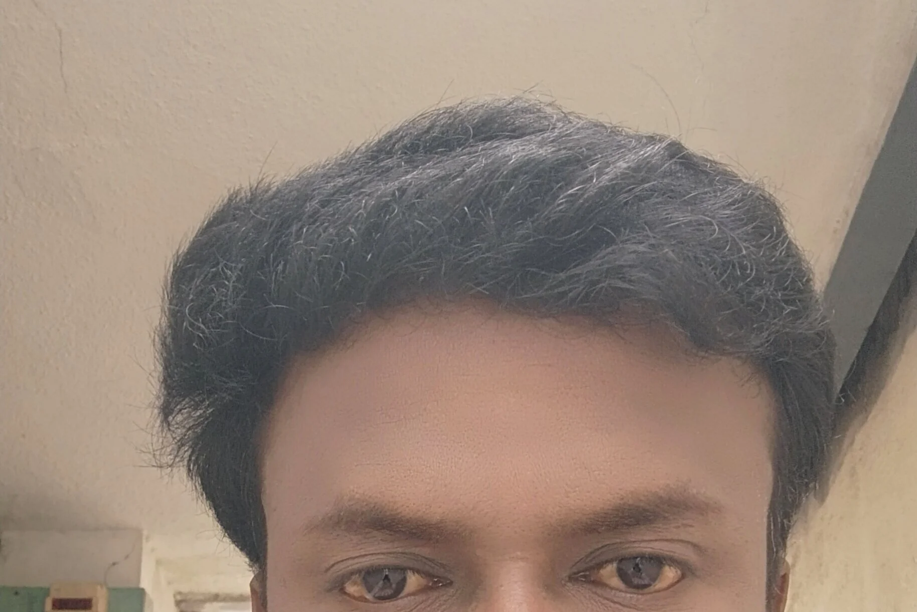 blackberry-Tamil