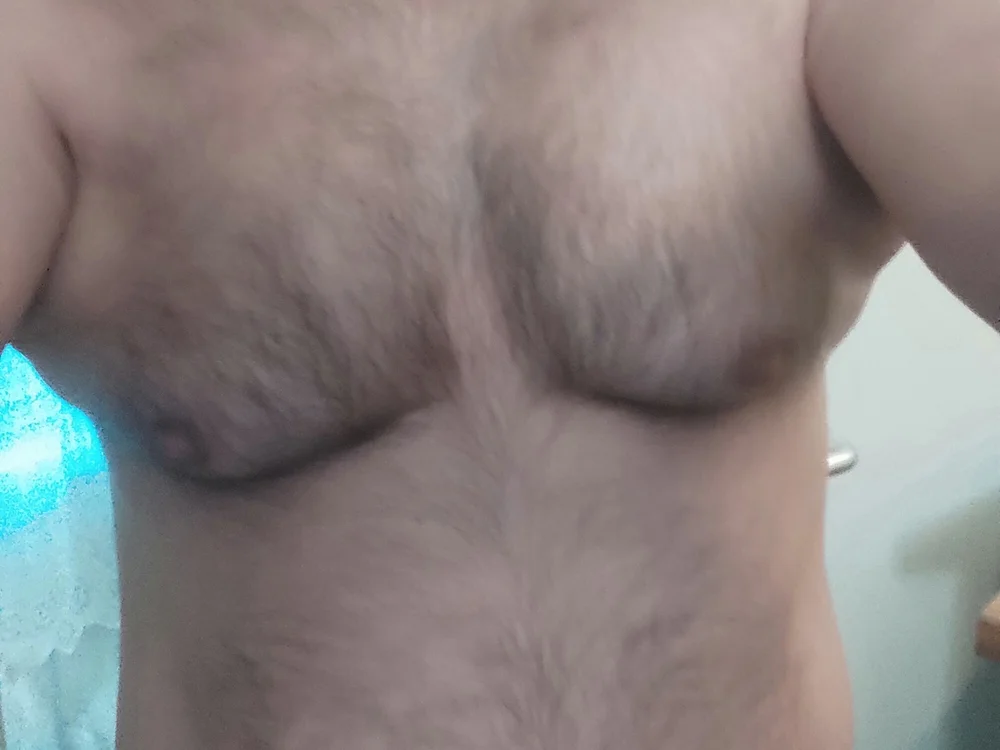 Chat +18 off-line de WienBearBi