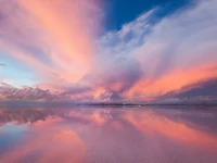 Модель Browngirl7