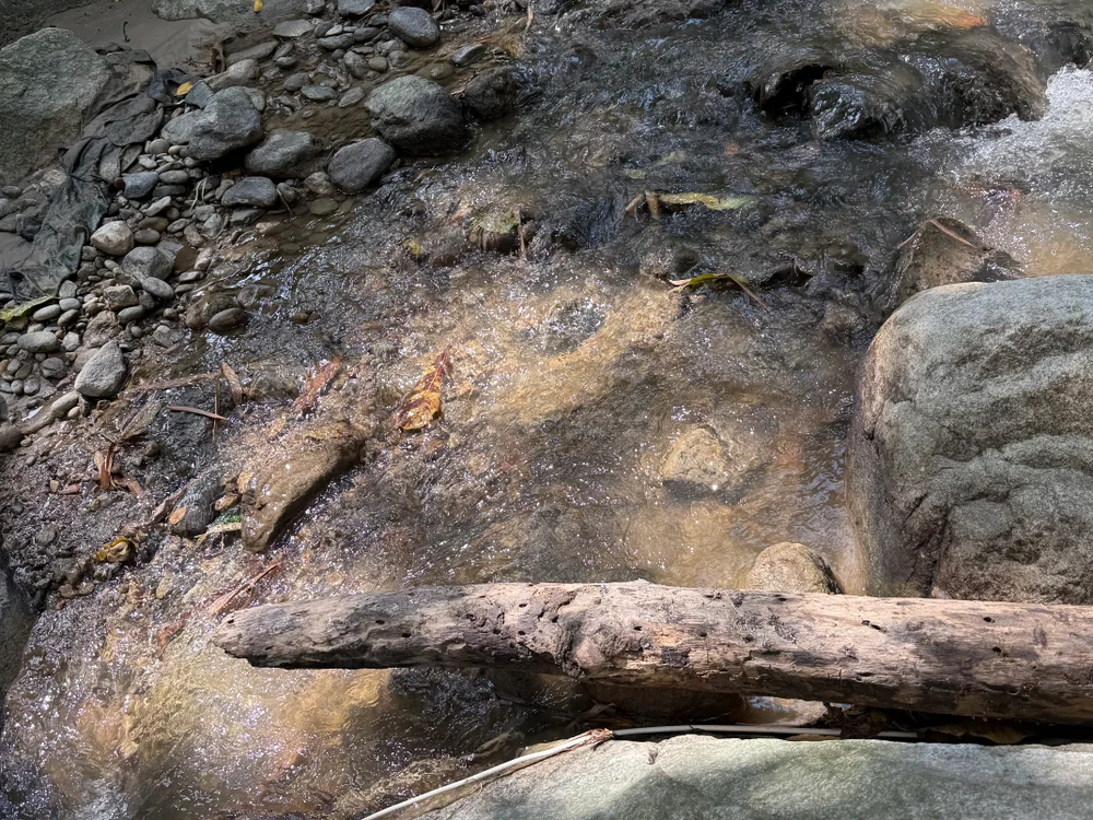 Duvanrp54's most recent online preview