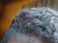 PAIN134567's webcam live show