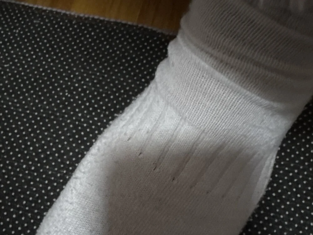 Fay369 离线XXX聊天