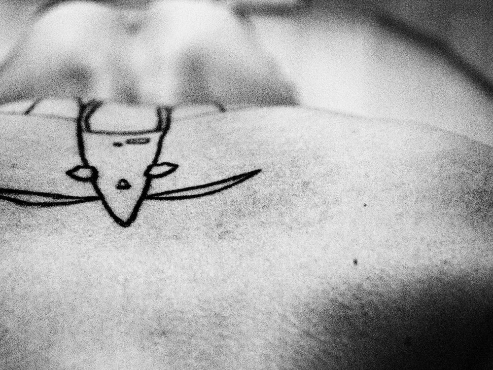 slevkelev অফলাইন XXX চ্যাট