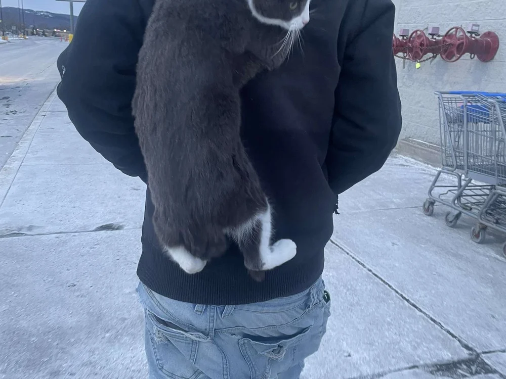 mike_cumss cam model