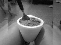 4Rreginabsl1 🏗 adult chat