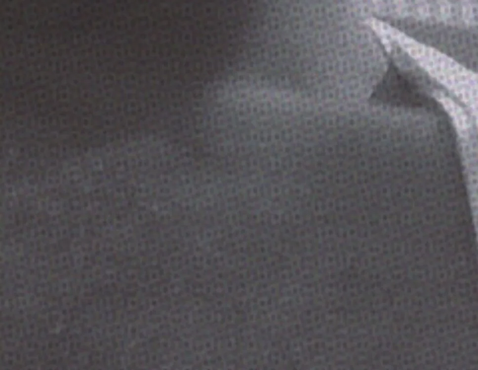 Raja_gamer's most recent online preview