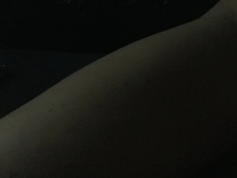 TightWillow's Offline XXX Chat