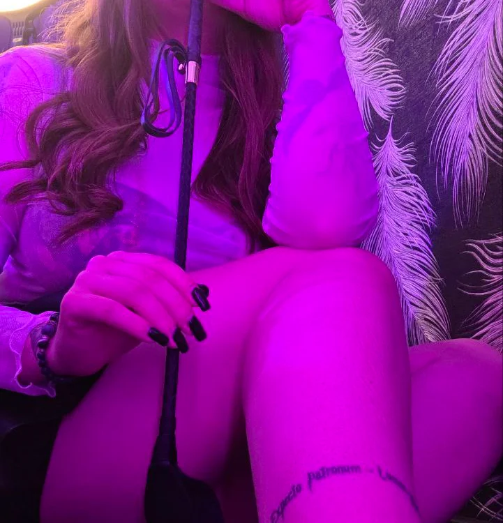 SauvageBirdy Chat XXX live