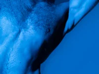 MuzzyFacing's webcam live show