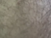 shaddy-450 webcam model