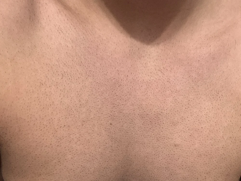 Toto_t offline XXX-chat