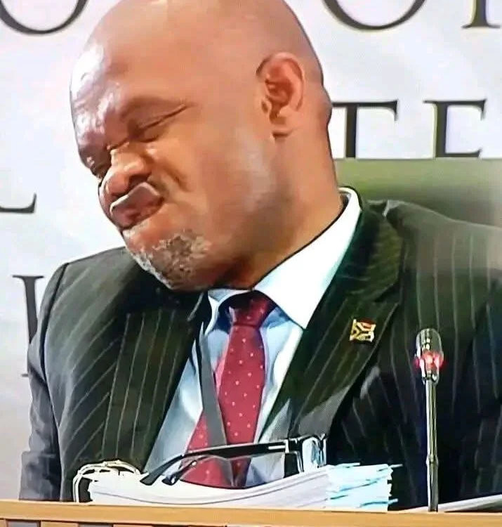 Thembabuthelezi's most recent online preview