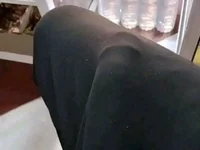 Dokali12 webcam