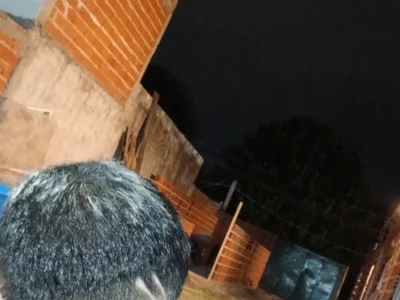 elvergon23139 profile