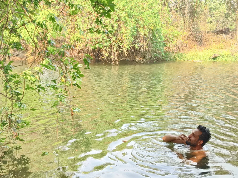 Trade010's Offline XXX Chat