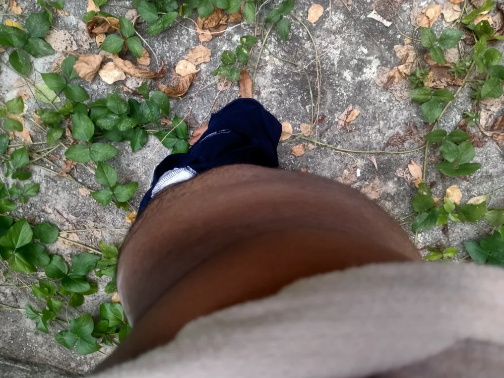 akhilcricketvisionlive