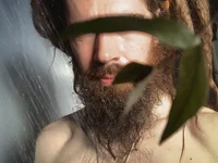 חדר צ'אט לא מקוון של sensi-switch