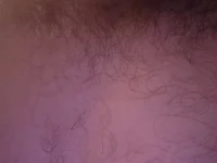 Davidski1234