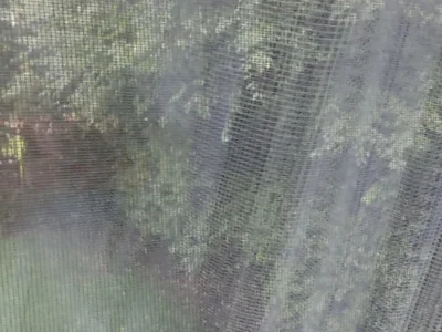 Derdicke19x5 anteprima della webcam