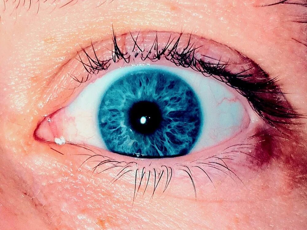 Chatroom XXX hors ligne de Time2die