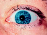 Time2die's webcam live show