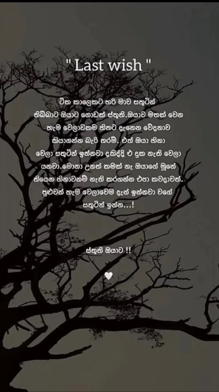 955Anu