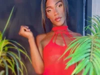 ALONDRA-FARELO