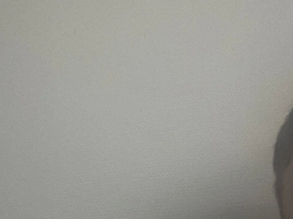 Jungertyp995 离线XXX聊天