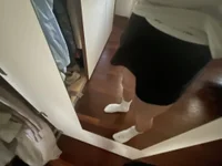 mrdeisi's webcam live show