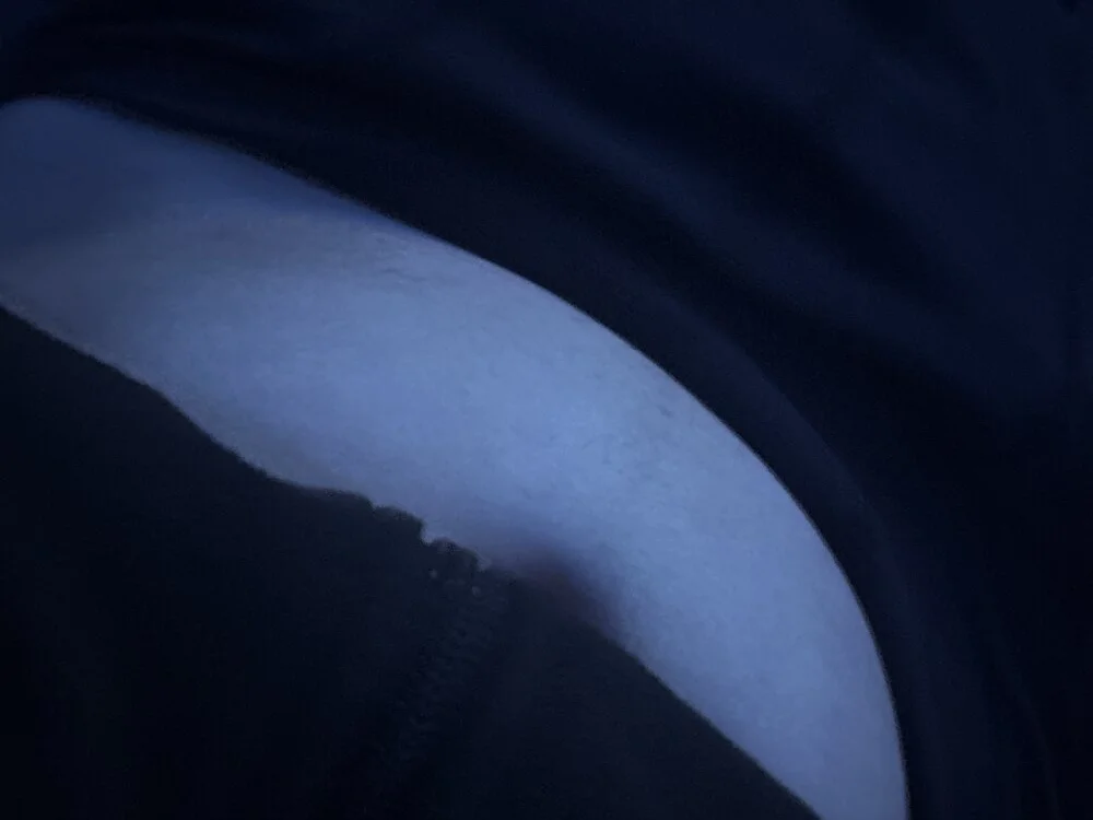 shynando7766 Chat XXX offline