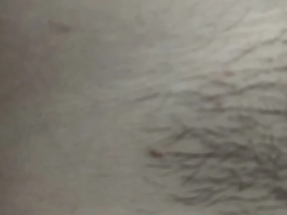 misyonercii's Offline XXX Chat
