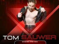 Модель tom_sauwer