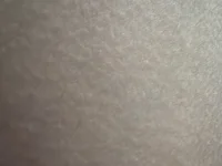 nico_sex19 webcam thumbnail