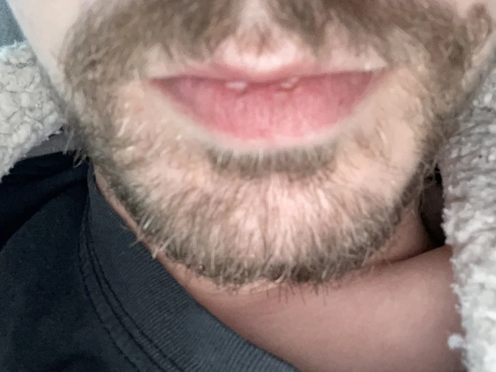 jdaltonnnn offline chatrum