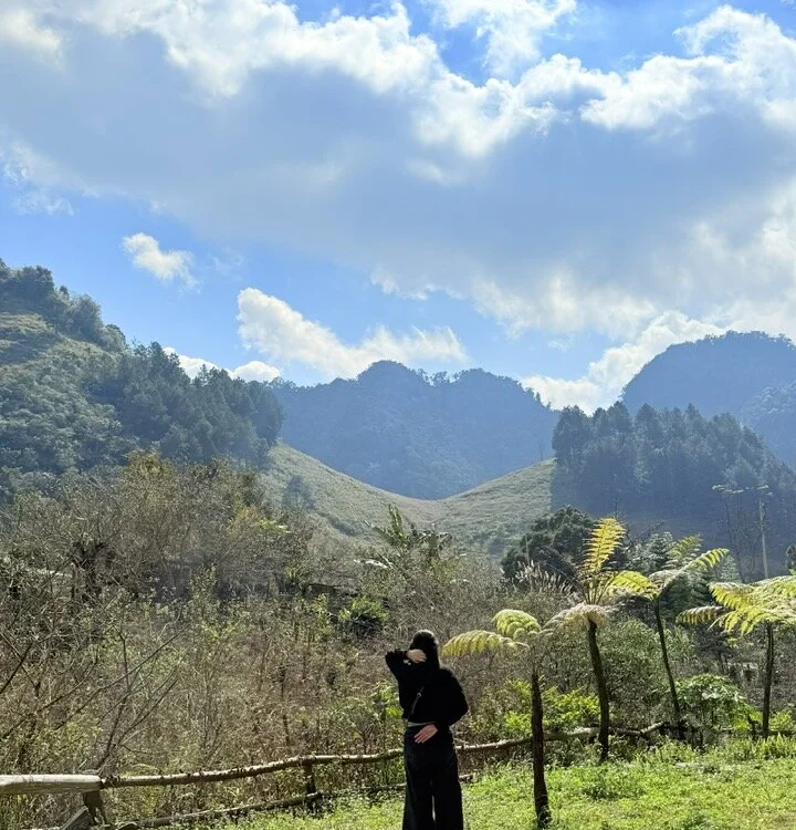 -Bibo- Chat XXX Ngoại tuyến