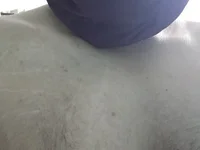 Fprv002's webcam live show