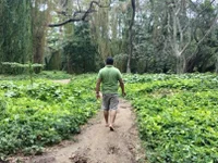 anecdotasdelabogado