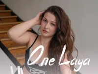 Модель OneLaya