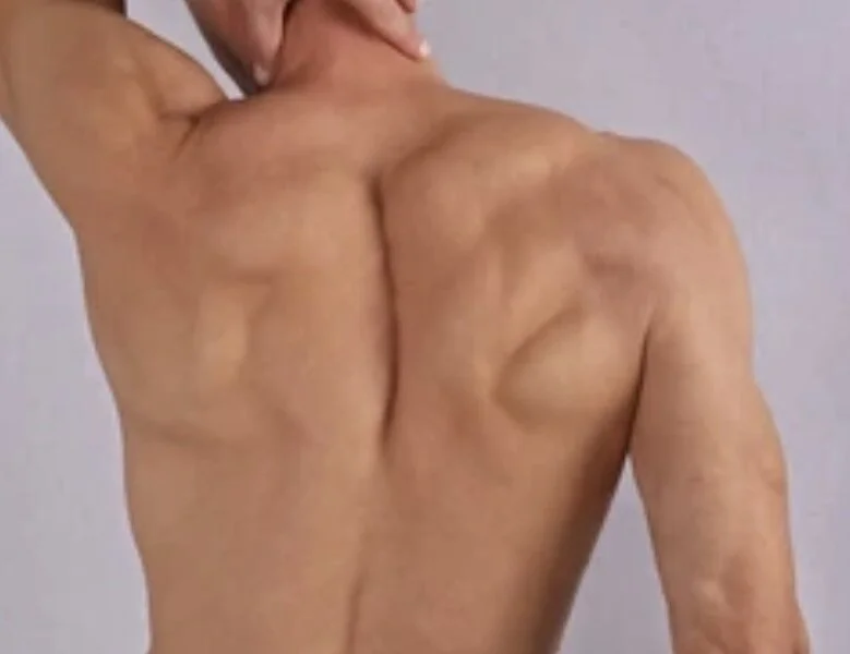 دردشة trenci19 الجنسية دون اتصال