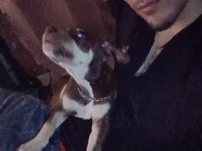 FreaxxxyAngel profile