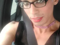 RoseCross webcam model