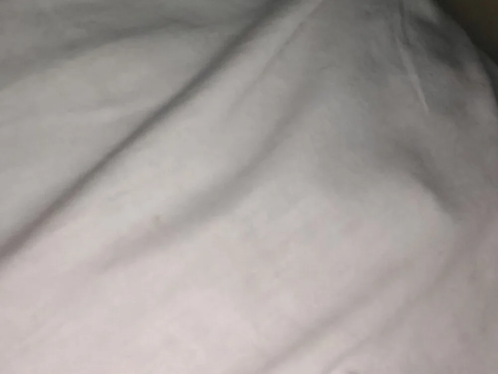 Offline XXX chat modela Raj2424HH