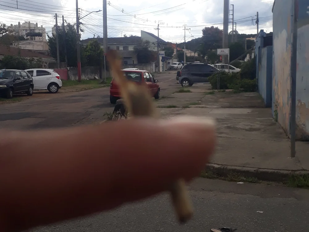 nandohk4r Offline XXX Chat