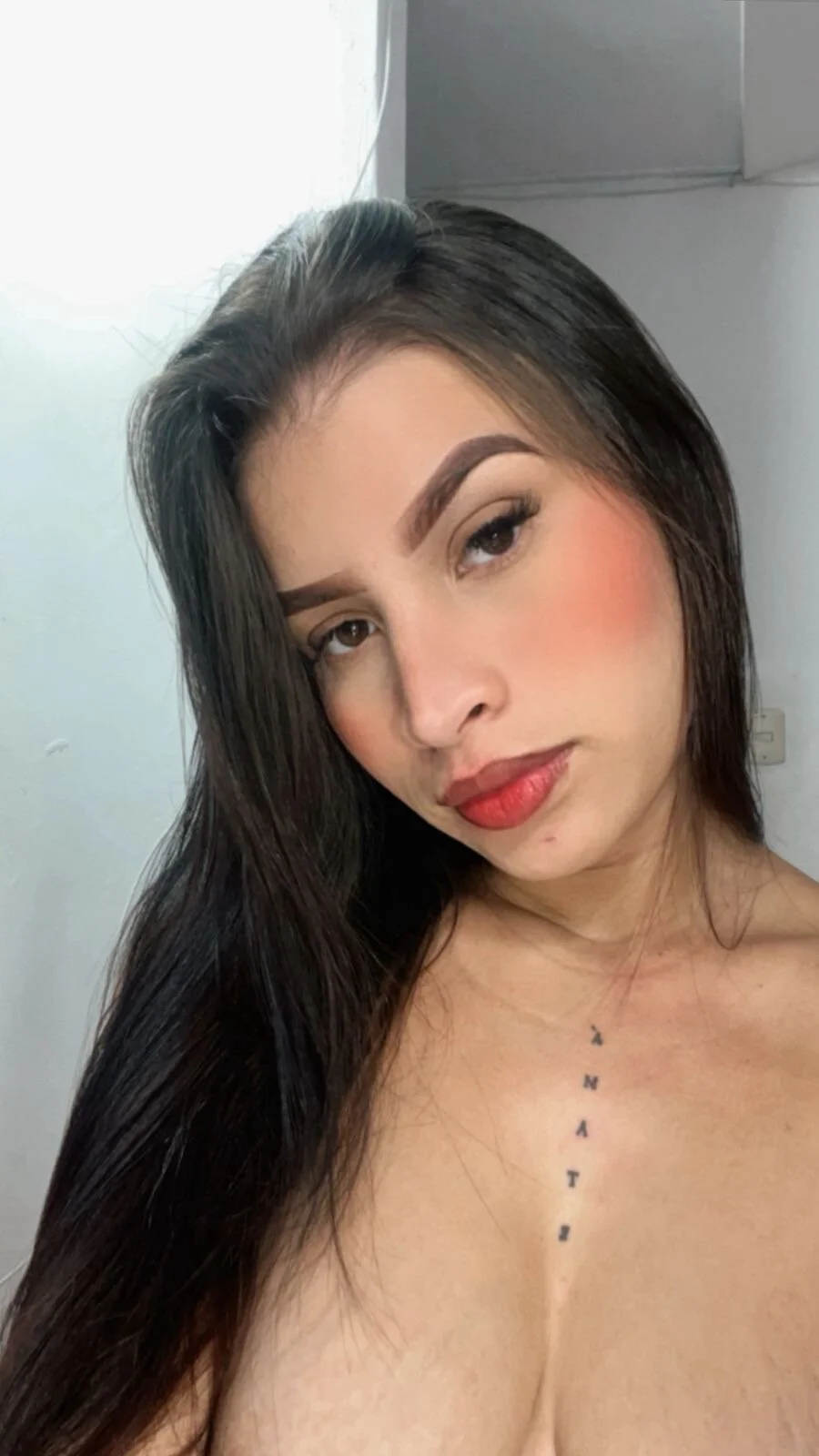 Ara_vivi