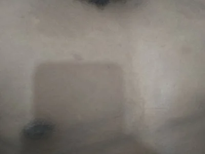 gibrula11