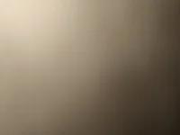 Модель Xcan
